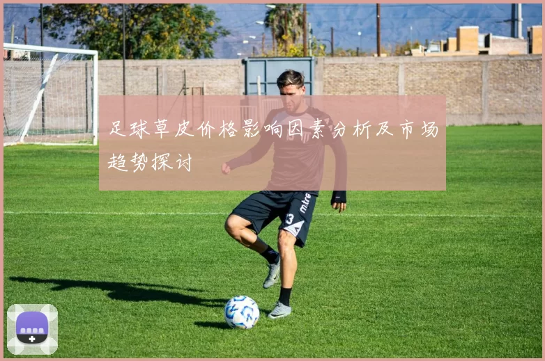 足球草皮价格影响因素分析及市场趋势探讨