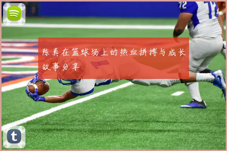 陈真在篮球场上的热血拼搏与成长故事分享