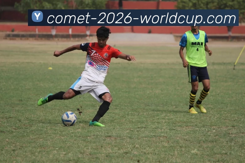 中超买球网服务体系